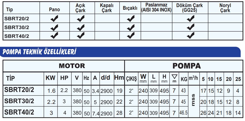 sumak sbrt teknik tablo.PNG (85 KB)