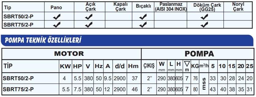 sumak sbrtp teknik tablo 2.PNG (71 KB)