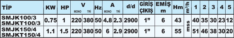 sumak smjk teknik tablo.png (39 KB)