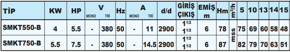 sumak smktb teknik tablo.png (52 KB)