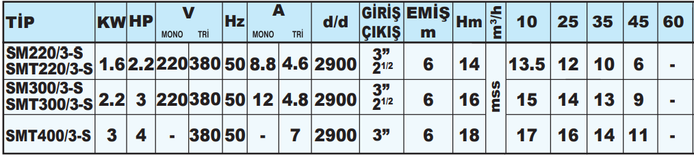 sumak sms teknik tablo 6.png (80 KB)